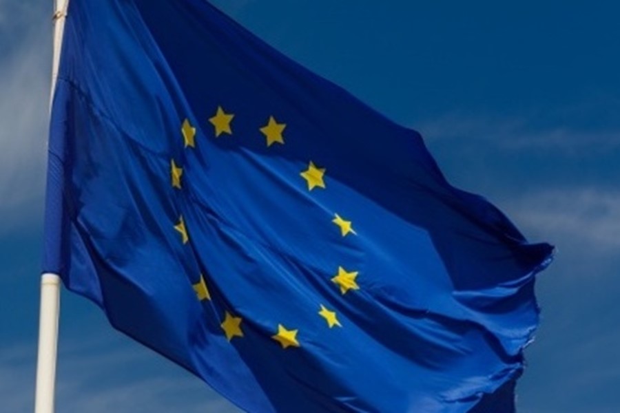 Allege European Union Flag 1653033844Yvt