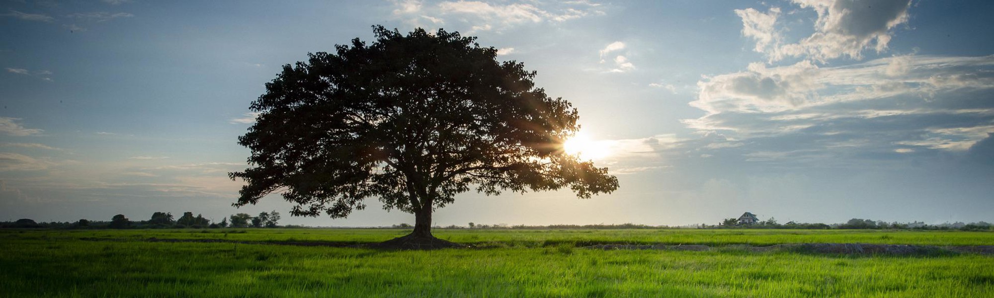 Découvrez notre programme Les Français parlent climat